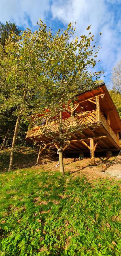 Hiska Na Samem V Slovenj Gradcu Словень Градець Екстер'єр фото